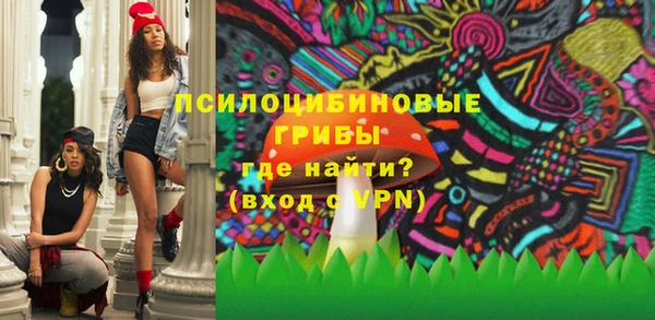гидра Козловка